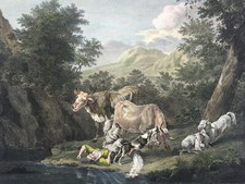 Laitiere van der d'occasion  Pluvigner