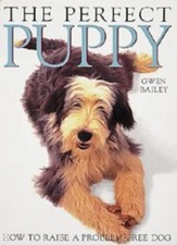 Perfect puppy gwen for sale  UK