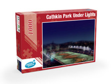 Cathkin park lights for sale  SHIPLEY