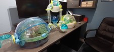 Habitrail ovo hamster for sale  TAMWORTH