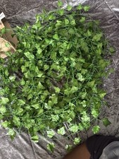 plant decor wall for sale plant decor wall for sale Orland Park