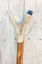 deer antler walking stick for sale  BRADFORD