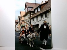 Schwalmstadt ziegenbock gespan gebraucht kaufen  Aarbergen