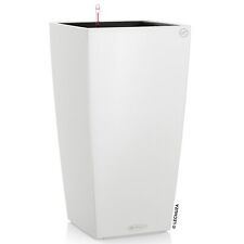 Lechuza cubico color gebraucht kaufen  Deutschland