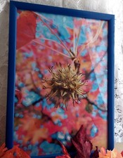 Naturalistica carta con usato  Vigonovo