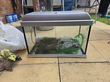 50l fish tank for sale  MILTON KEYNES
