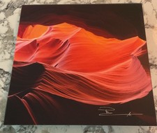 Peter lik canyon for sale  Ocala