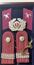Ddr feuerwehr schulterstücke gebraucht kaufen  Dresden