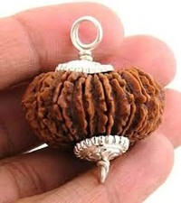 Natural Original Rudraksh 17 MUKHI RUDRAKSHA Nepal Rudraksha 31MM Certificado de Laboratório comprar usado  Enviando para Brazil
