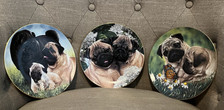 Pug love collector for sale  Crystal River