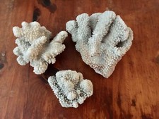 Real coral natural for sale  Escondido