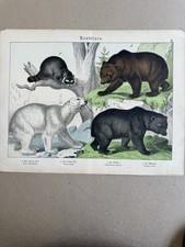 Lot antique engravings for sale  Brooklyn