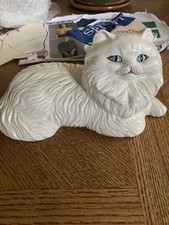 persian cats for sale persian cats for sale Denton