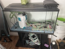 Diversa aquarium stand for sale  CROWBOROUGH