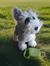 Fluffy puppies hund gebraucht kaufen  Inchenhofen