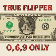 True flipper rotator d'occasion  Expédié en Belgium