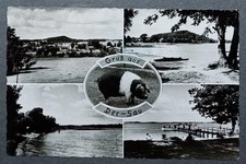 Ansichtskarte postkarte gruß gebraucht kaufen  Bad Vilbel