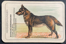 Cartão comercial de cachorro GERMAN SHEPHERD GSD cromolitógrafo antigo pré-Segunda Guerra Mundial comprar usado  Enviando para Brazil