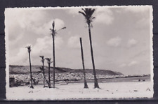 Palestina 1936 cartolina usato  Sannicandro di Bari
