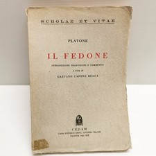 Fedone platone traduzione usato  Villorba