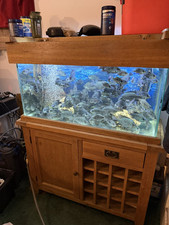 Oak 110cm aquarium for sale  CINDERFORD
