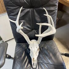 Cool weathered whitetail for sale  Ellis