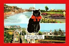 083105 postcard clacton for sale  FROME