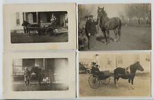 cart pony shetland for sale cart pony shetland for sale Saint Paul