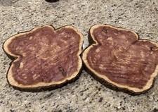 Cedar wood slices for sale  Bullard