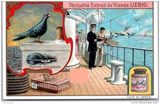 Liebig pigeons voyages d'occasion  Expédié en Belgium