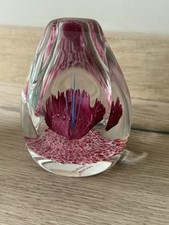 Caithness fantasy orchid for sale  ASCOT