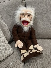 Sunny puppet bible for sale  Gainesville