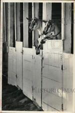1980 press photo for sale  Memphis