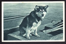 Pole nord thématique d'occasion Pole nord thématique d'occasion  Nancy-