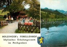 Trota laussa holzingerhof usato  Spedire a Italy