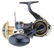 Daiwa saltiga 2020 d'occasion  Romans-sur-Isère