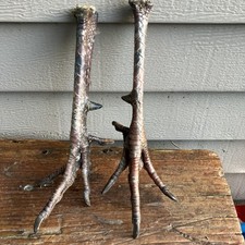 Wild turkey feet for sale  Vassar
