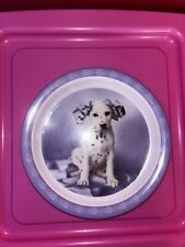 Rachael hale dalmatian for sale  HOLSWORTHY