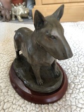 Bull terrier dog for sale  BURNHAM-ON-CROUCH