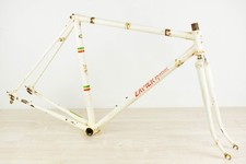 Daccordi set telaio usato  Chieri