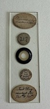 Antique microscope test for sale  BRISTOL