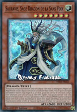 Sauravis sage dragon d'occasion  Chambly