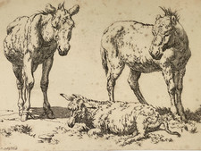 Donkey etching hills for sale  Sherman Oaks