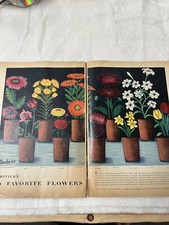 May 1953 nice for sale  Salina