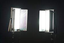 Luce video lupo usato  Roma