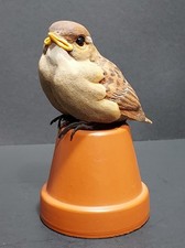 Kaiser baby songbirds for sale  Kankakee