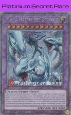 Magia maître dragons d'occasion  France