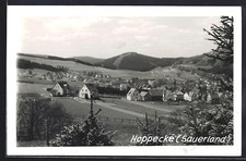 Ansichtskarte hoppecke sauerla gebraucht kaufen  Berlin