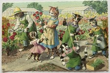 Dressed cats vintage for sale  Pflugerville