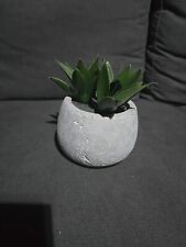 office house plant for sale  Milford